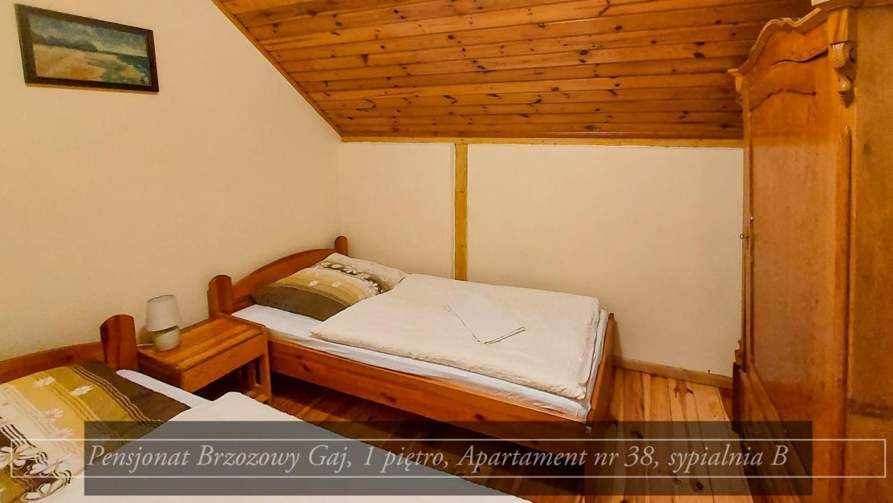 Brzozowy Gaj - Pensjonat คาร์ปัตซ์ ภายนอก รูปภาพ
